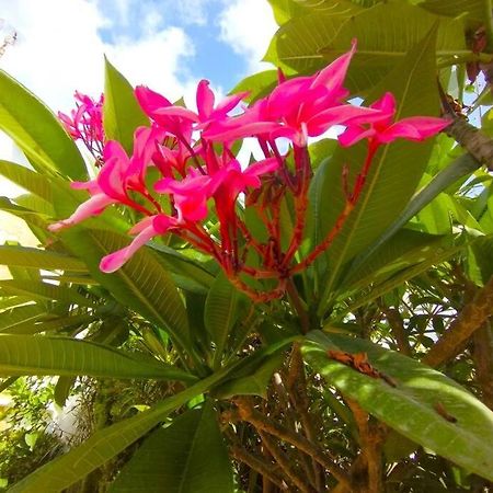 Beautiful 3 Bedroom Townhouse In Urb. Tropicana, Nerja Eksteriør billede